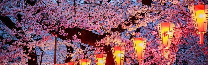 16张国家地理级别的樱花美图，手机壁纸换起来