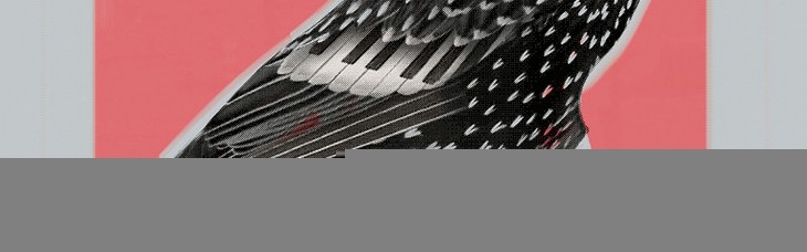 乐享生活，音乐展览好去处