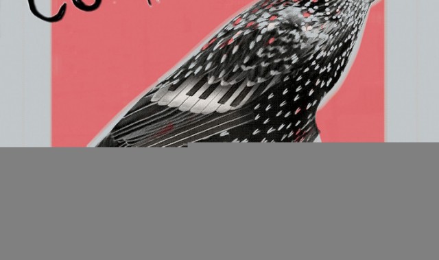 乐享生活，音乐展览好去处