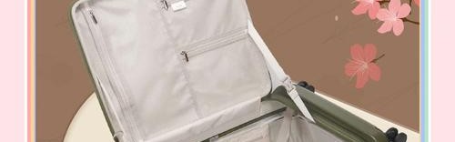 旅行箱变身时尚潮品，90分牵手爱马仕前设计师联名款巴黎首发