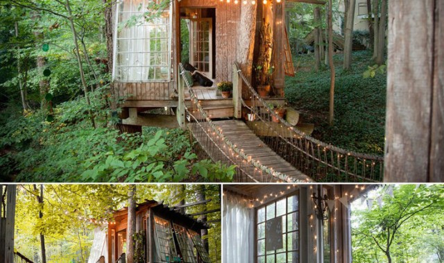 圆你童年树屋梦