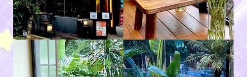 花厨最美的“后花园”，原来在她的家里