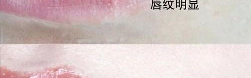 唇部护理很重要，女明星的秘诀在这里！