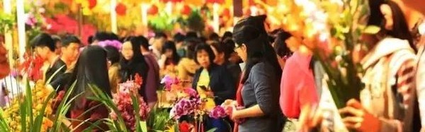 过年逛花市，买些多肉回去旺财又旺宅