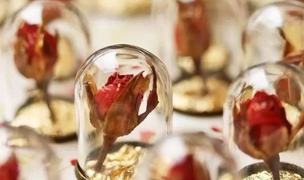 水果除了吃，还可以做饰品！？