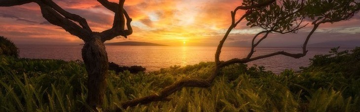 2015年全美拍得最棒的风光作品都在这儿了