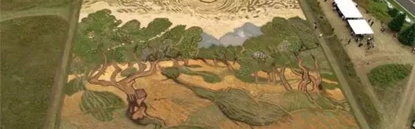 这些疯狂的艺术家们竟然以天地为画布