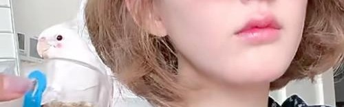 赵露思、娜比等靠一支腮红就能成为可爱甜心？看这里，大家都有机会！