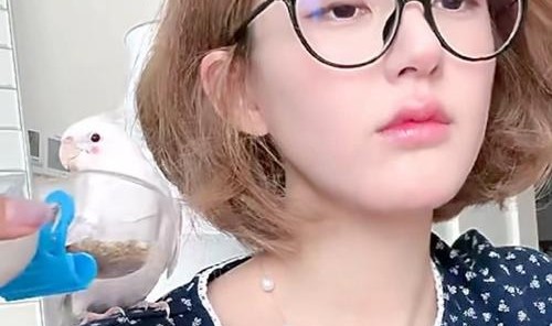 赵露思、娜比等靠一支腮红就能成为可爱甜心？看这里，大家都有机会！