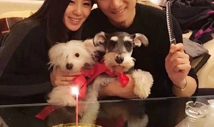 单身汪请注意！刘诗诗也要化身仙女走进婚礼殿堂啦！