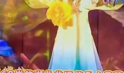 看归来的李子柒，过多彩的非遗年！