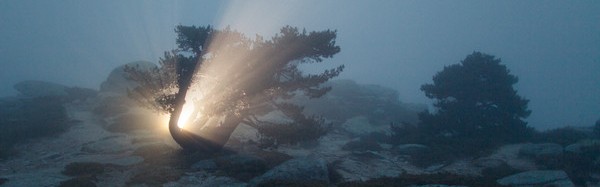 世界上竟有这么多巧合，你还不相信奇迹吗？