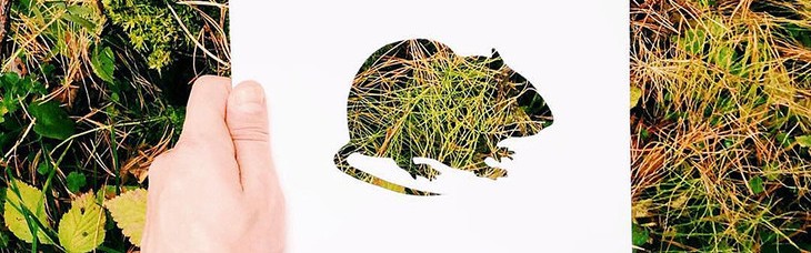 比画出来的还好看，用自然花草填色的动物剪纸画