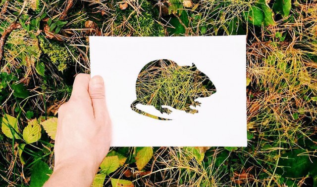 比画出来的还好看，用自然花草填色的动物剪纸画