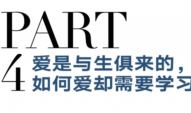 《涉过愤怒的海》：父母更爱儿女，还是更爱身份？