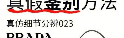 包包纹样矢量图,鉴别奢侈品真伪：从五大细节辨别真伪