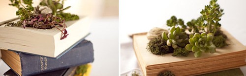 旧书改造成爱不释手的植物花盆