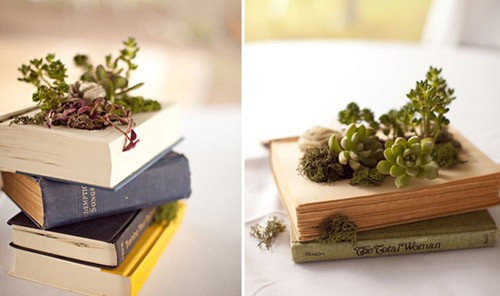 旧书改造成爱不释手的植物花盆