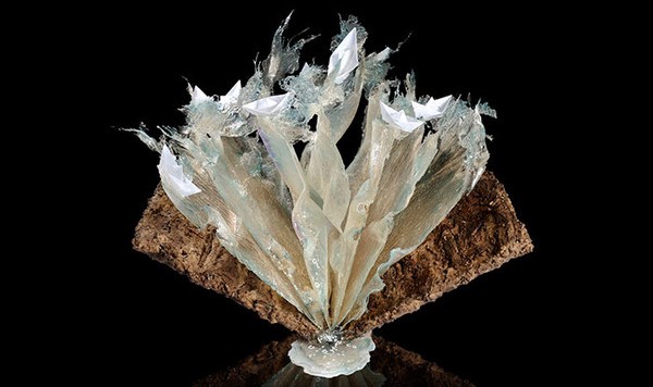 我想就这样冻结了时间，冻结你