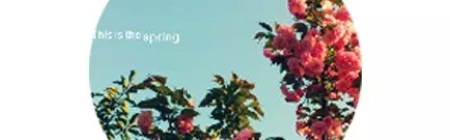 给我一个角落，做点私密的事情