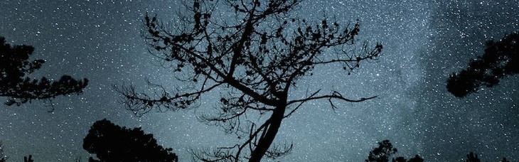 有多久没看到过漫天繁星了？