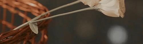 2020年，时尚圈有哪些振奋人心的改变？