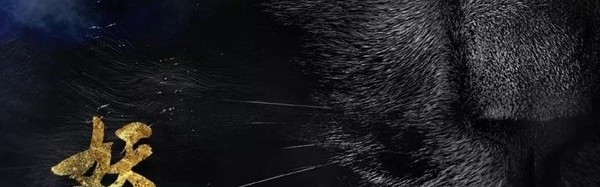 【热影】《妖猫传》画面美轮美奂简直拯救审美！演员也大有来头让人忍不住的小期待