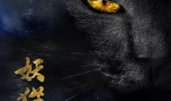 【热影】《妖猫传》画面美轮美奂简直拯救审美！演员也大有来头让人忍不住的小期待