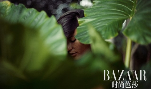 Zissou的影像，让你记起夏天的味道