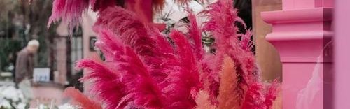 BAZAAR&CAFÉ，春笋楼下的春天