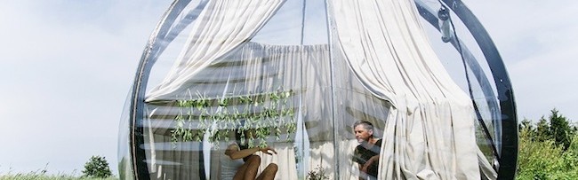 360度仰望星空，你需要一个全透明的帐篷~