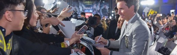 纽特竟然娶了别人？克雷登斯还活着？！神奇动物带你重回魔法世界~