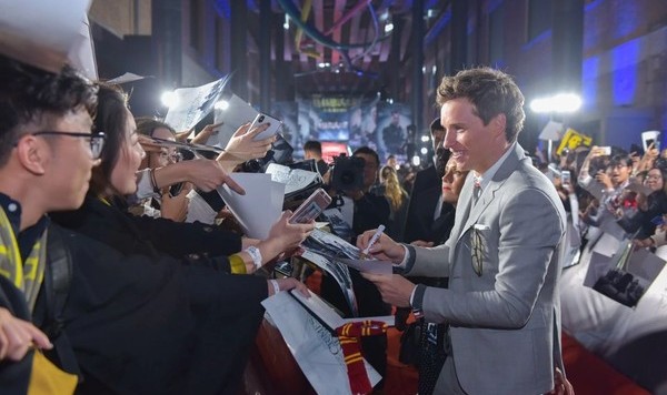 纽特竟然娶了别人？克雷登斯还活着？！神奇动物带你重回魔法世界~