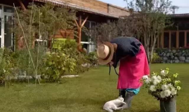 有花园有玻璃房 她在乡下的房子比城里还漂亮