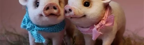 这些竟然都是毛毡做的？难以置信！