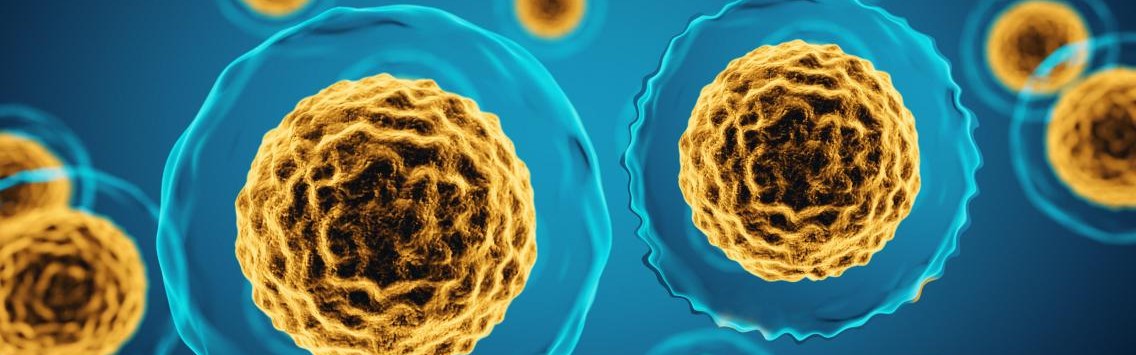 ​解锁抗衰密码：30岁向衰老“宣战”