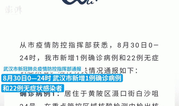 lv官网怎么购买,武汉出现确诊病例湖北首现病例