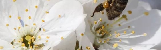 时尚圈里的动物世界？动物上身也要了解背后的故事！