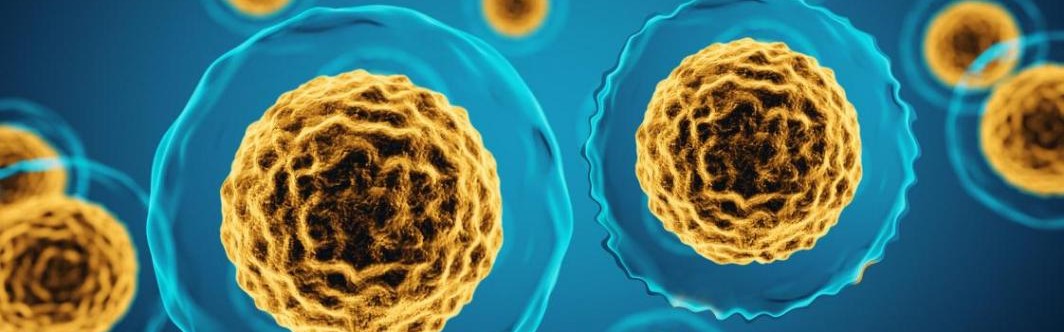 抗衰，让人体“长寿基因”充满活力