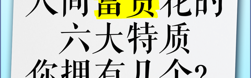 想当“人间富贵花”，我有错吗？