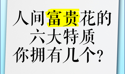 想当“人间富贵花”，我有错吗？