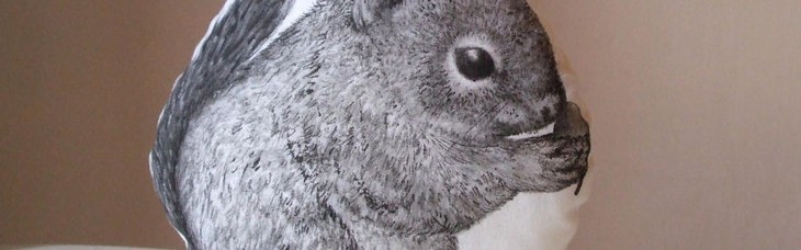 拥有这样一件动物系抱枕，睡觉都会香甜