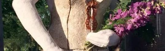 用树叶“种”出来的婚纱，你会穿吗？