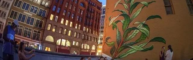 无论艳阳还是雨雪 她的花草永远灿烂绽放