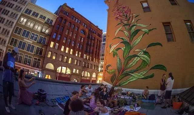 无论艳阳还是雨雪 她的花草永远灿烂绽放