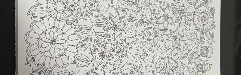 减压不只有《秘密花园》，为这些城市填色更高级！