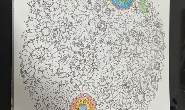 减压不只有《秘密花园》，为这些城市填色更高级！