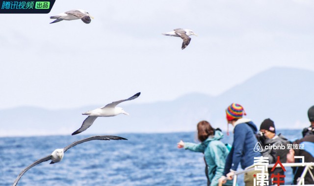 你能想象225片塑料在胃里是怎样的感受吗？