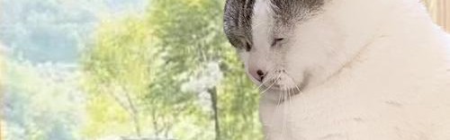 生图不崩的状态感，从哪儿来？