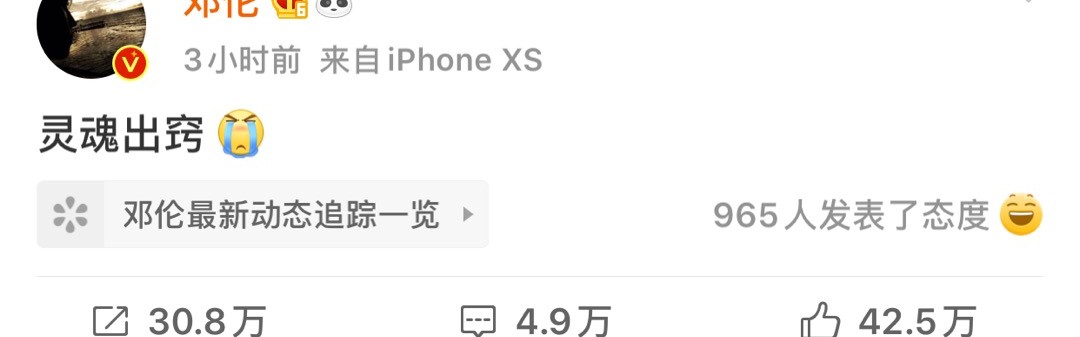 听说我马上就可以天天追综艺了？！
